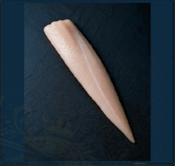 Sturgeon Fillet