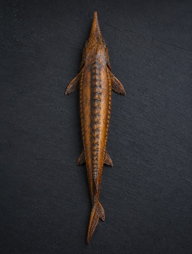 Hot-Smoked Sterlet