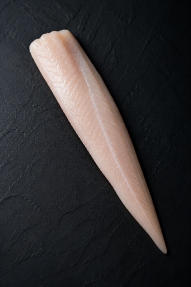 Sturgeon Fillet